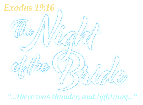 logo_night_of_the_bride_2022_website