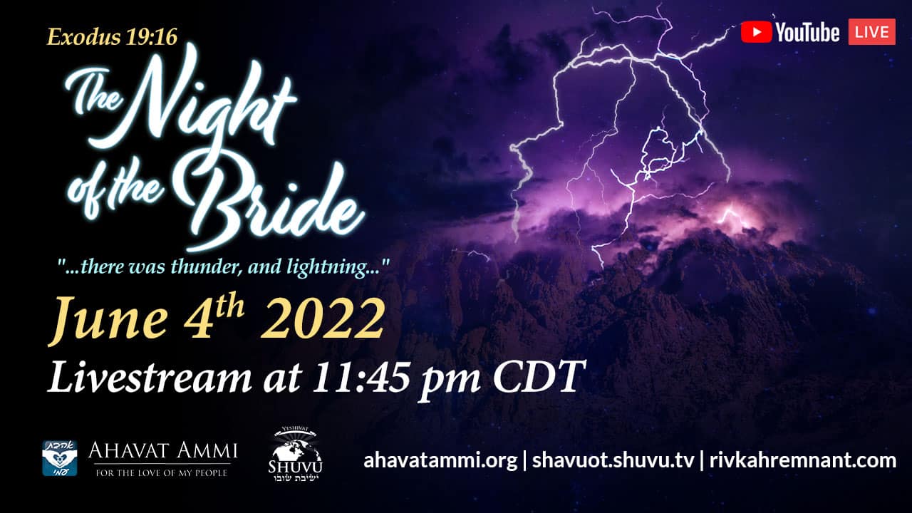 cover_night_of_the_bride_2022_livestream