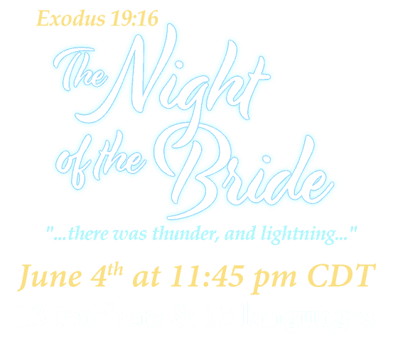 logo_night_of_the_bride_2022_web